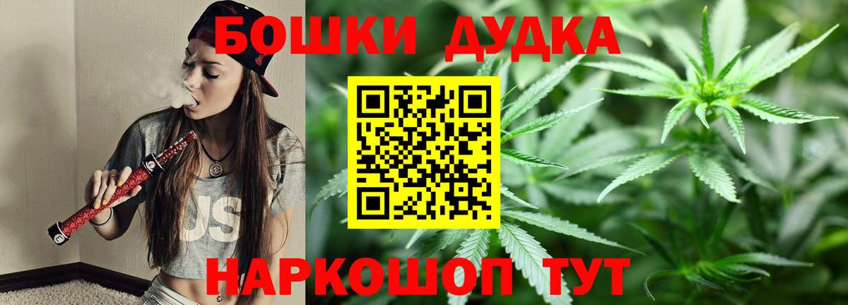 Шишки марихуана сатива Шали